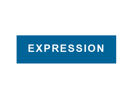 Expression - Digital Catalyst Client